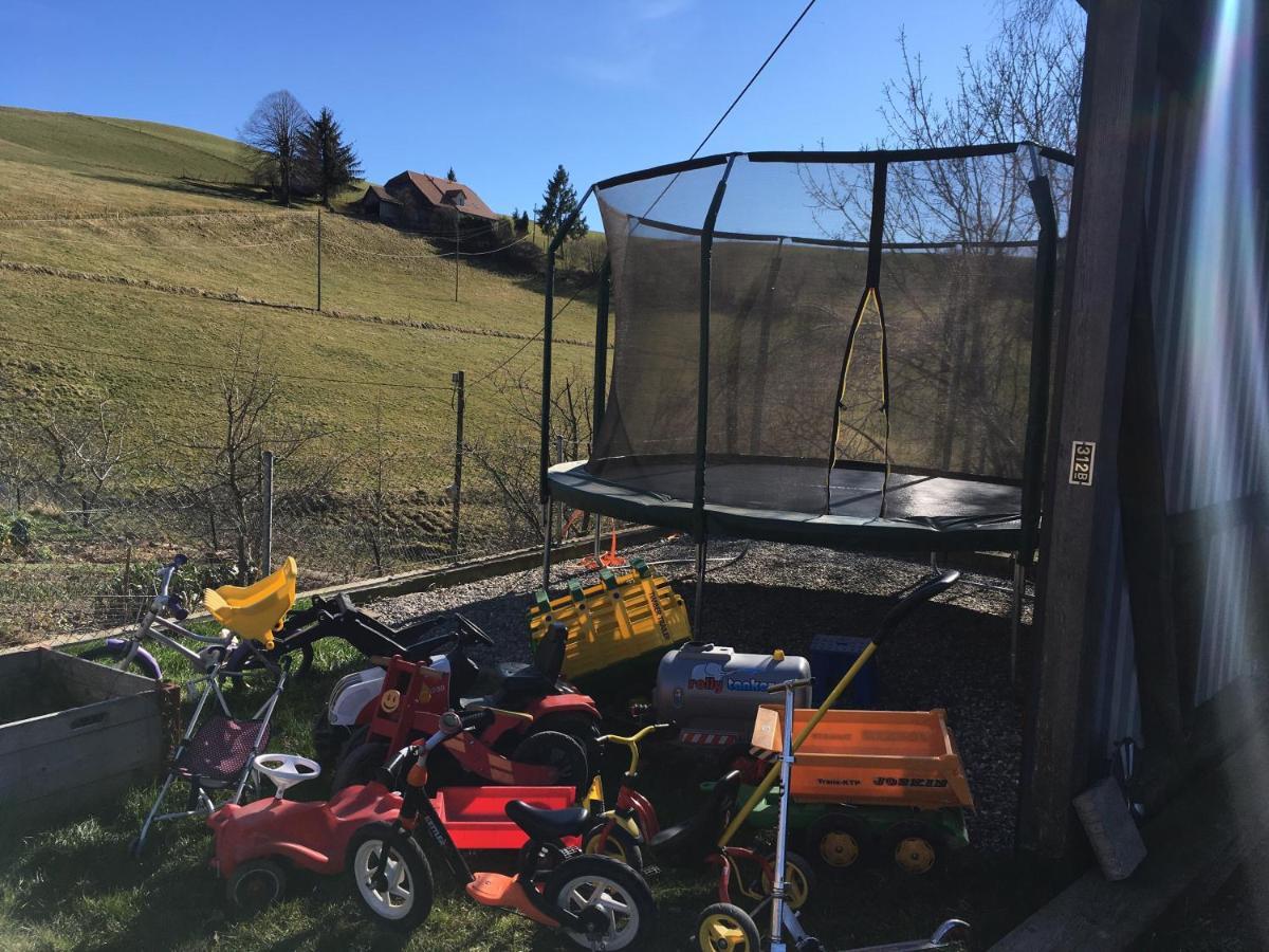 3,5 Zimmerferienwohnung Schwalbenaescht Rueeggisberg 외부 사진